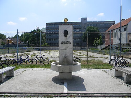 Ritratto ufficiale di Blagoje Marjanović sulla panchina del Catania — Licenza: Pubblico Dominio (Scadenza termini d'autore) — Crediti: Wikimedia Commons Contributors